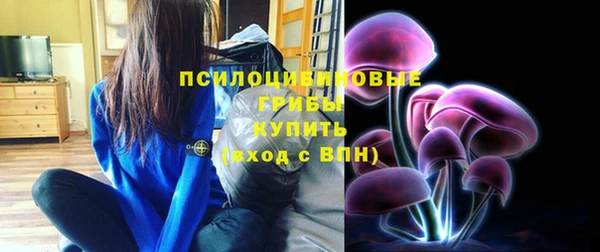 бутират Алзамай