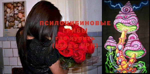 apvp Алексеевка