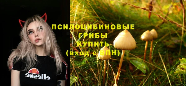 мескалин Абаза