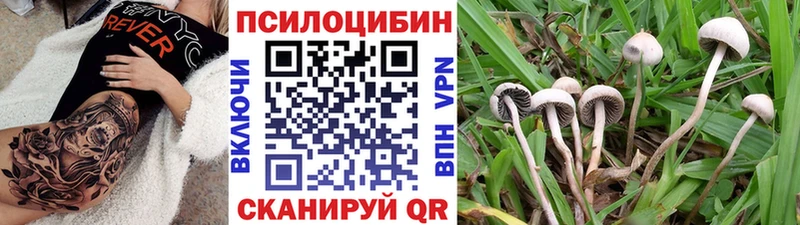 Галлюциногенные грибы мухоморы Барнаул