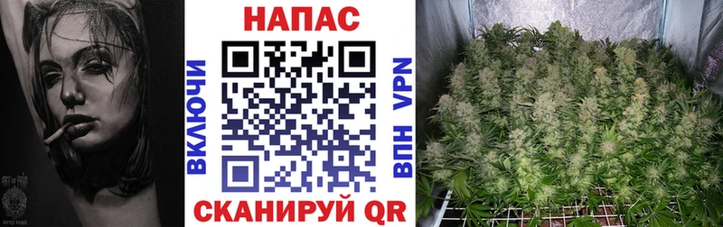 Конопля White Widow  наркошоп  omg онион  Барнаул 